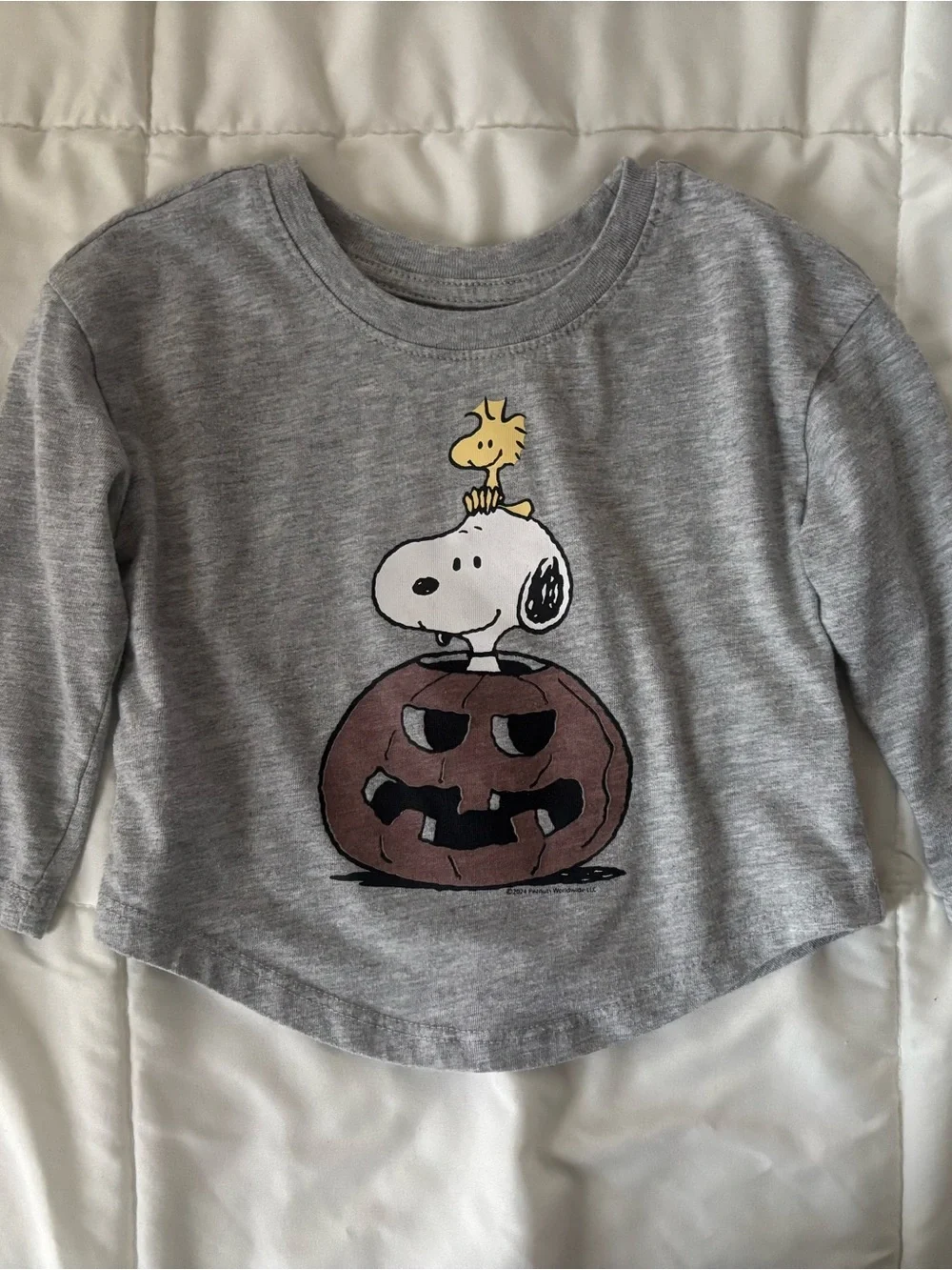 GAP Grey Long Sleeve Tee with Snoopy & Woodstock Pumpkin Graphic